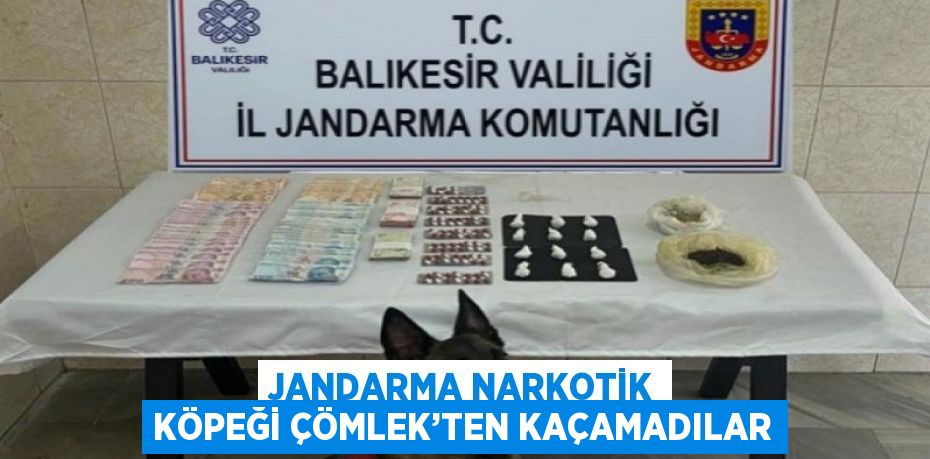 JANDARMA NARKOTİK KÖPEĞİ ÇÖMLEK’TEN KAÇAMADILAR