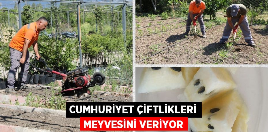 CUMHURİYET ÇİFTLİKLERİ MEYVESİNİ VERİYOR