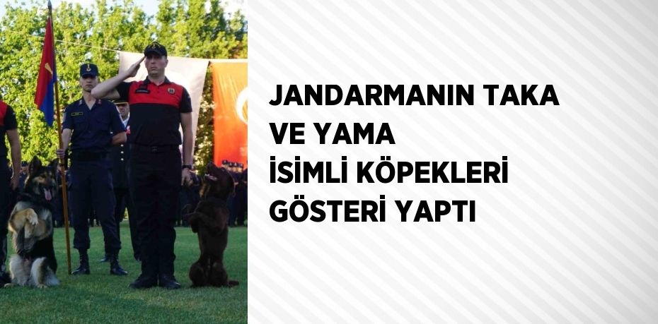 JANDARMANIN TAKA VE YAMA İSİMLİ KÖPEKLERİ GÖSTERİ YAPTI