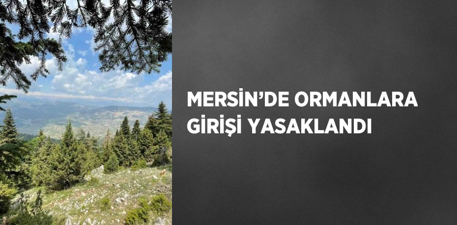 MERSİN’DE ORMANLARA GİRİŞİ YASAKLANDI