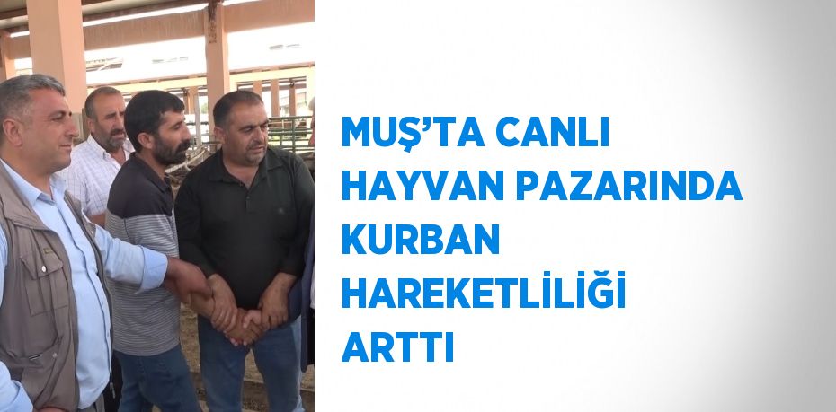 MUŞ’TA CANLI HAYVAN PAZARINDA KURBAN HAREKETLİLİĞİ ARTTI