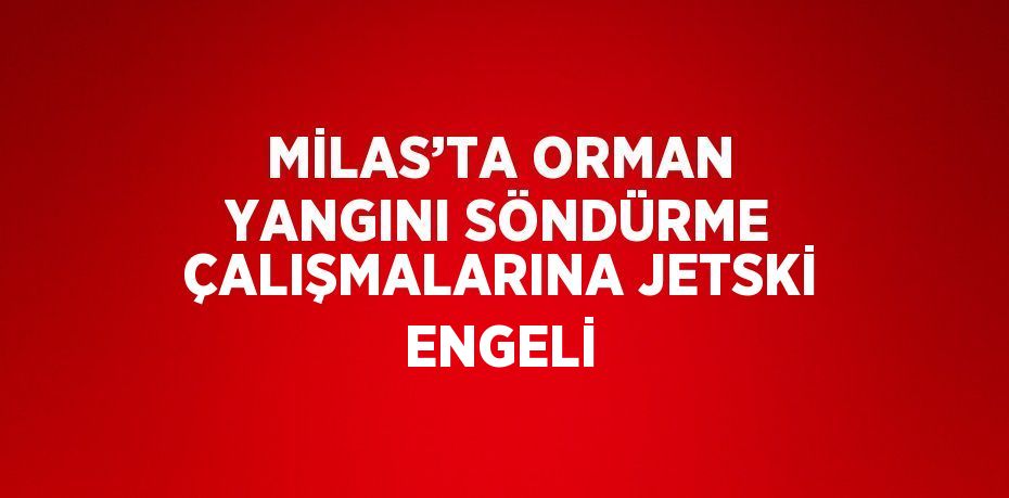 MİLAS’TA ORMAN YANGINI SÖNDÜRME ÇALIŞMALARINA JETSKİ ENGELİ