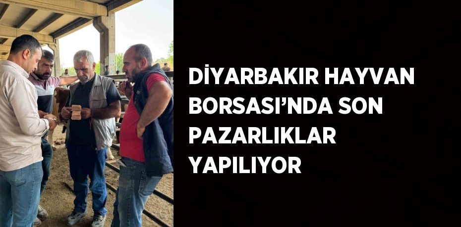 DİYARBAKIR HAYVAN BORSASI’NDA SON PAZARLIKLAR YAPILIYOR