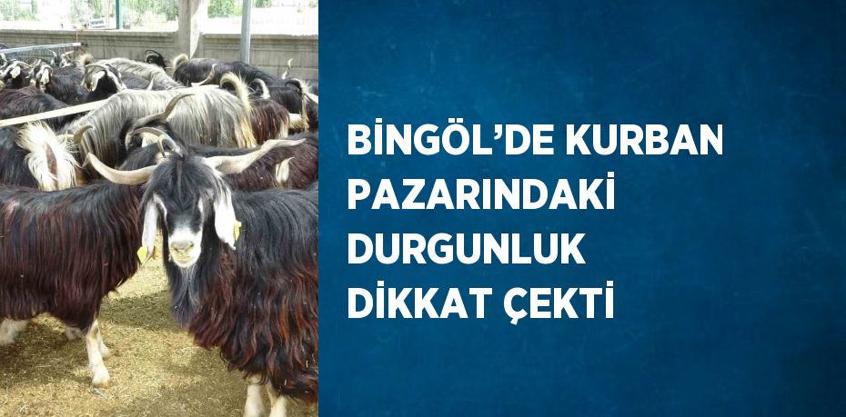 BİNGÖL’DE KURBAN PAZARINDAKİ DURGUNLUK DİKKAT ÇEKTİ