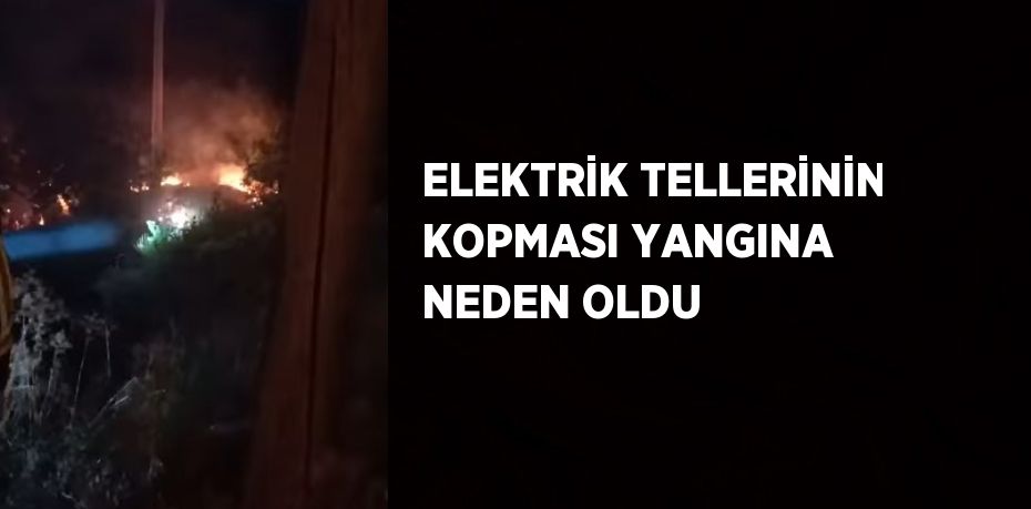 ELEKTRİK TELLERİNİN KOPMASI YANGINA NEDEN OLDU