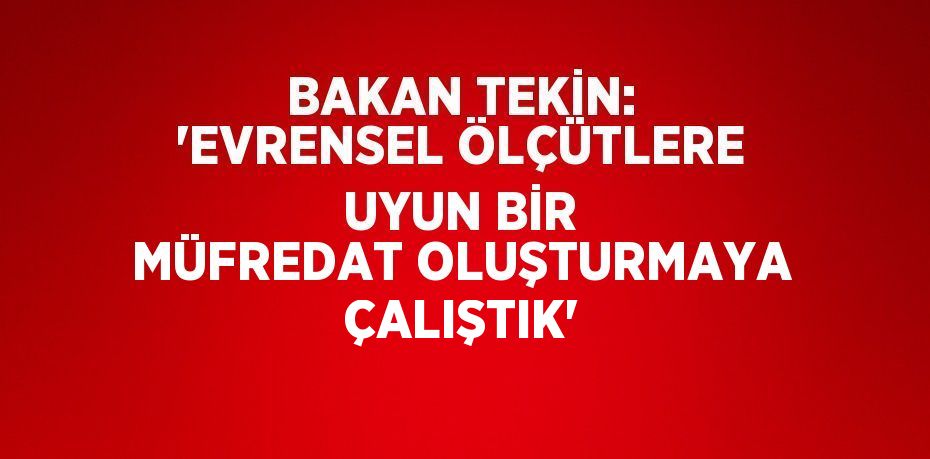 BAKAN TEKİN: 'EVRENSEL ÖLÇÜTLERE UYUN BİR MÜFREDAT OLUŞTURMAYA ÇALIŞTIK'