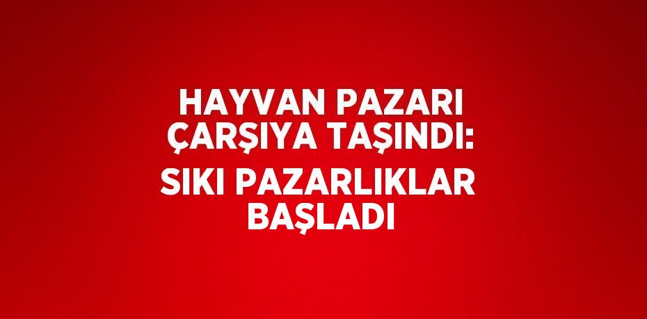 HAYVAN PAZARI ÇARŞIYA TAŞINDI: SIKI PAZARLIKLAR BAŞLADI