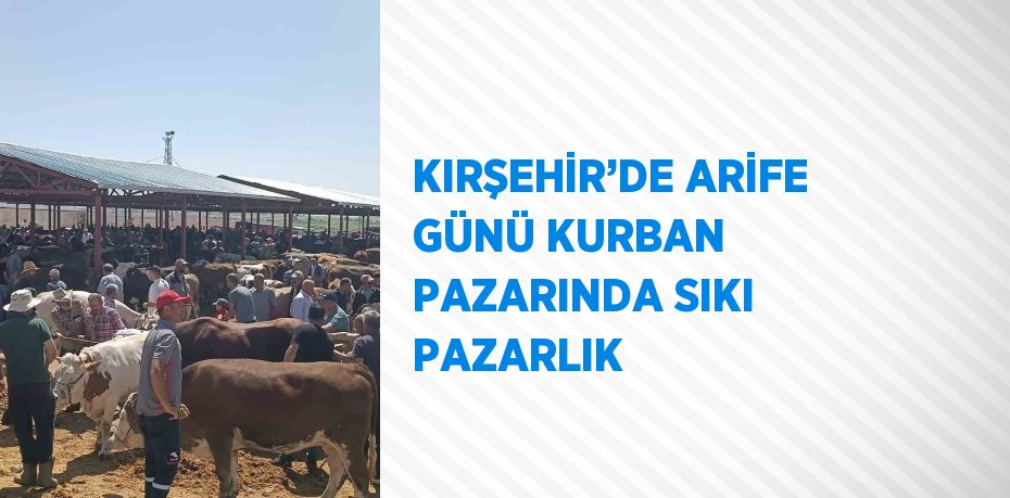 KIRŞEHİR’DE ARİFE GÜNÜ KURBAN PAZARINDA SIKI PAZARLIK