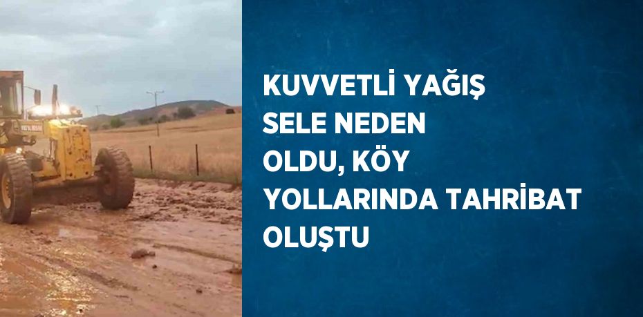 KUVVETLİ YAĞIŞ SELE NEDEN OLDU, KÖY YOLLARINDA TAHRİBAT OLUŞTU