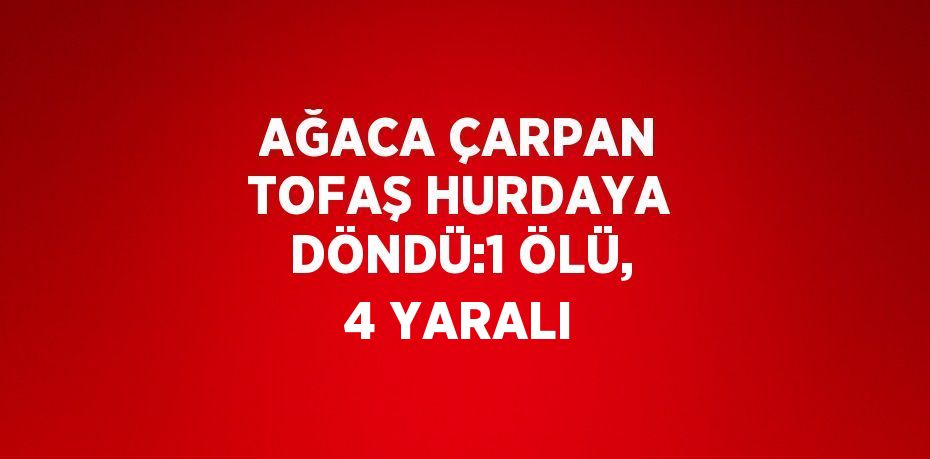 AĞACA ÇARPAN TOFAŞ HURDAYA DÖNDÜ:1 ÖLÜ, 4 YARALI