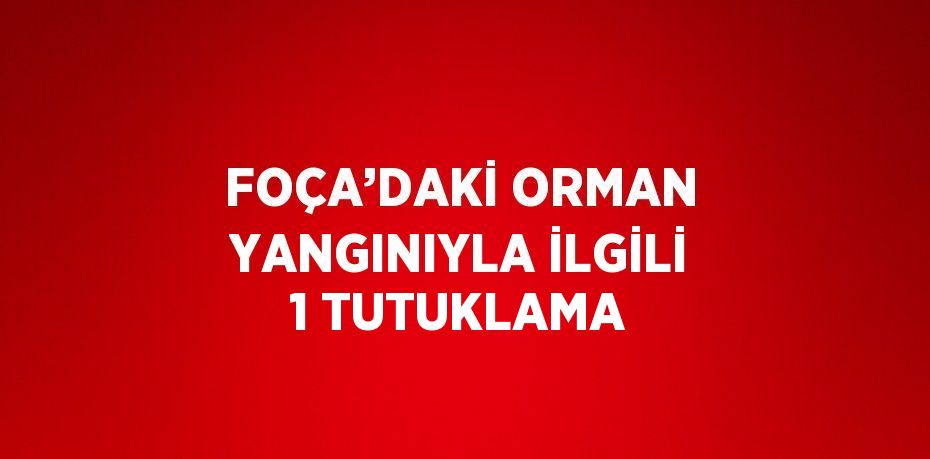 FOÇA’DAKİ ORMAN YANGINIYLA İLGİLİ 1 TUTUKLAMA