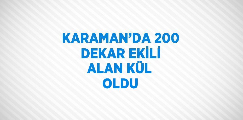 KARAMAN’DA 200 DEKAR EKİLİ ALAN KÜL OLDU