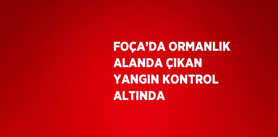 FOÇA’DA ORMANLIK ALANDA ÇIKAN YANGIN KONTROL ALTINDA