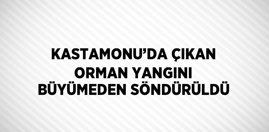 KASTAMONU’DA ÇIKAN ORMAN YANGINI BÜYÜMEDEN SÖNDÜRÜLDÜ