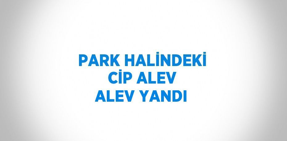 PARK HALİNDEKİ CİP ALEV ALEV YANDI