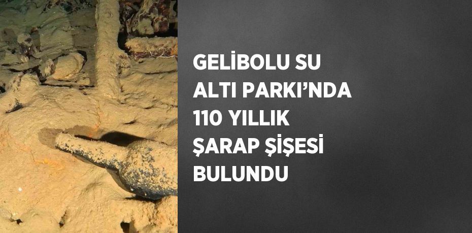 GELİBOLU SU ALTI PARKI’NDA 110 YILLIK ŞARAP ŞİŞESİ BULUNDU