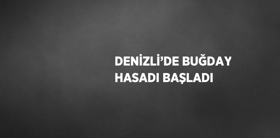 DENİZLİ’DE BUĞDAY HASADI BAŞLADI