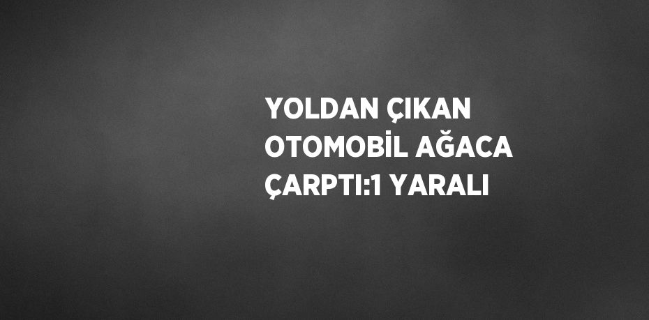 YOLDAN ÇIKAN OTOMOBİL AĞACA ÇARPTI:1 YARALI