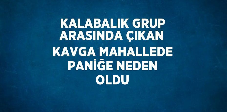 KALABALIK GRUP ARASINDA ÇIKAN KAVGA MAHALLEDE PANİĞE NEDEN OLDU