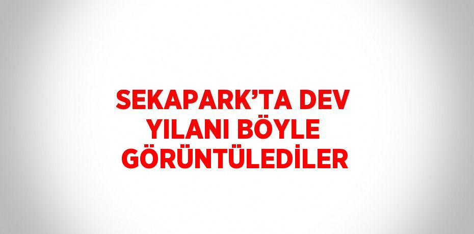 SEKAPARK’TA DEV YILANI BÖYLE GÖRÜNTÜLEDİLER