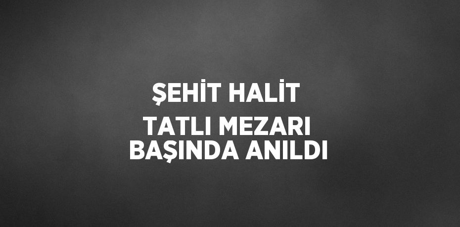 ŞEHİT HALİT TATLI MEZARI BAŞINDA ANILDI