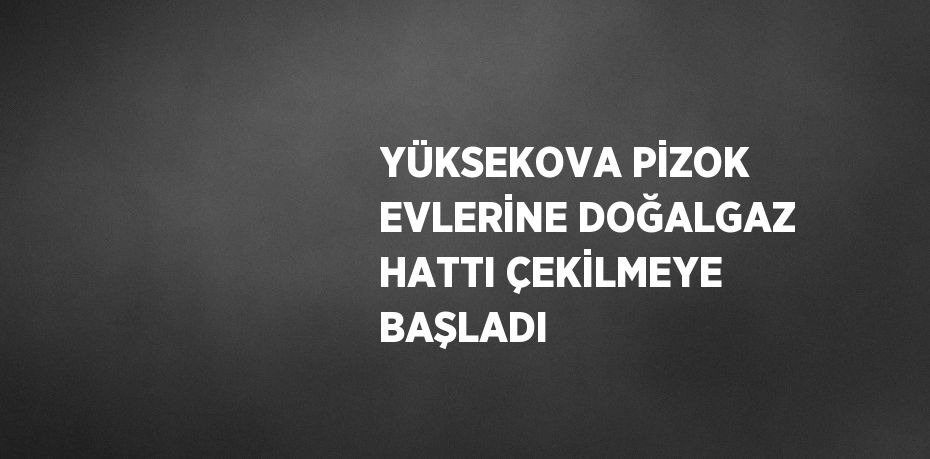 YÜKSEKOVA PİZOK EVLERİNE DOĞALGAZ HATTI ÇEKİLMEYE BAŞLADI