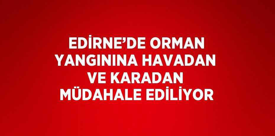 EDİRNE’DE ORMAN YANGININA HAVADAN VE KARADAN MÜDAHALE EDİLİYOR