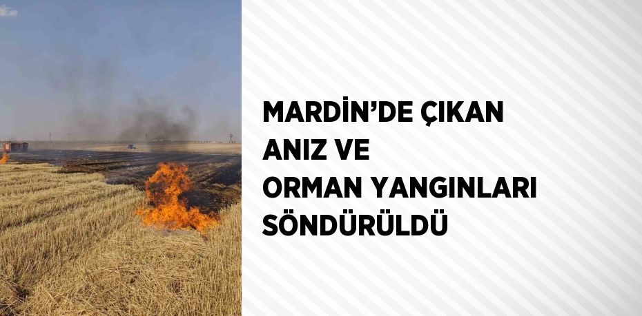 MARDİN’DE ÇIKAN ANIZ VE ORMAN YANGINLARI SÖNDÜRÜLDÜ