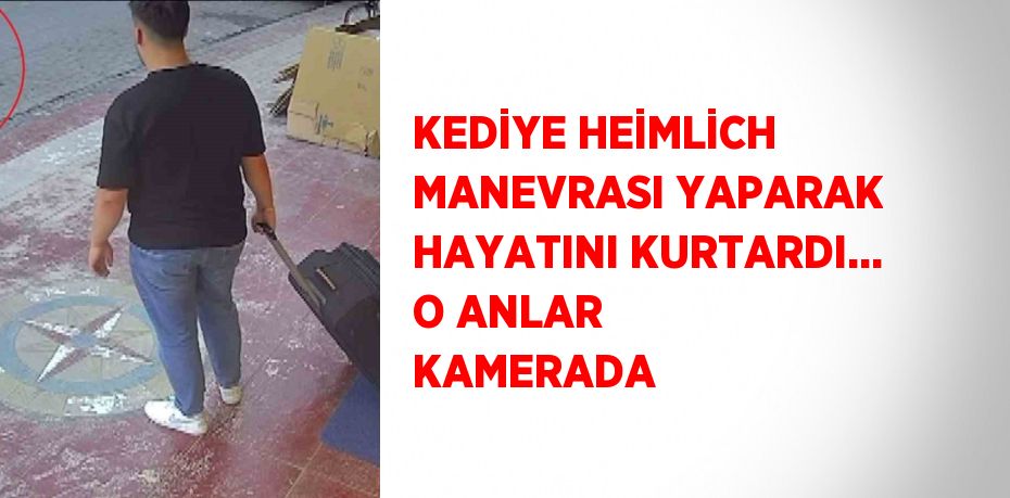 KEDİYE HEİMLİCH MANEVRASI YAPARAK HAYATINI KURTARDI... O ANLAR KAMERADA