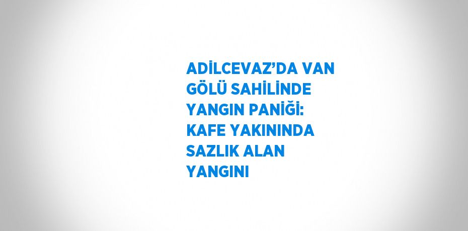 ADİLCEVAZ’DA VAN GÖLÜ SAHİLİNDE YANGIN PANİĞİ: KAFE YAKININDA SAZLIK ALAN YANGINI