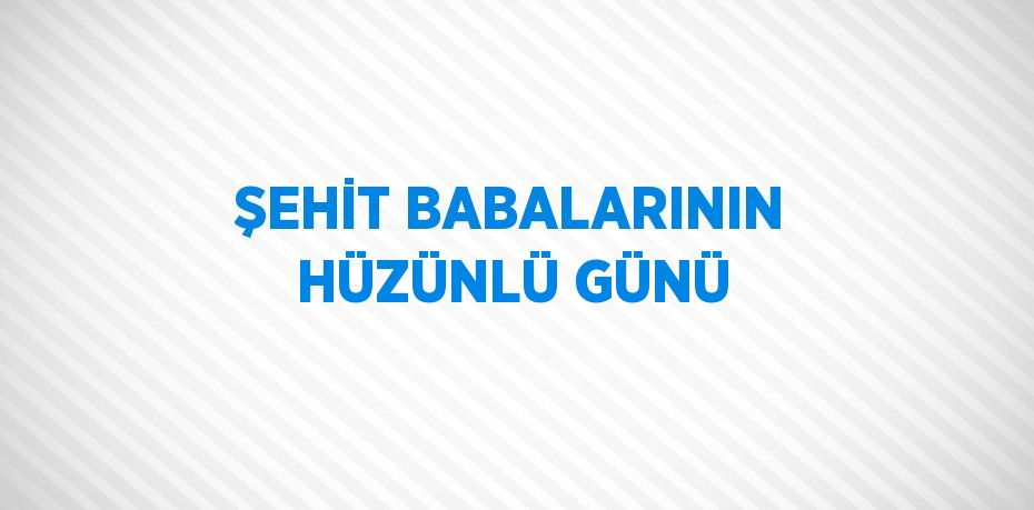 ŞEHİT BABALARININ HÜZÜNLÜ GÜNÜ