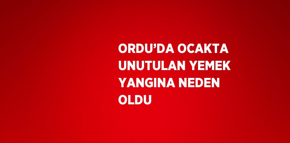ORDU’DA OCAKTA UNUTULAN YEMEK YANGINA NEDEN OLDU