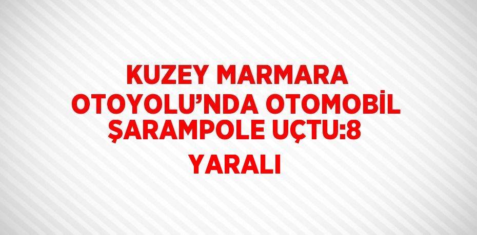 KUZEY MARMARA OTOYOLU’NDA OTOMOBİL ŞARAMPOLE UÇTU:8 YARALI