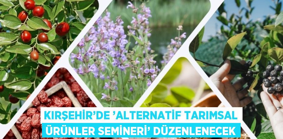 KIRŞEHİR’DE ’ALTERNATİF TARIMSAL ÜRÜNLER SEMİNERİ’ DÜZENLENECEK