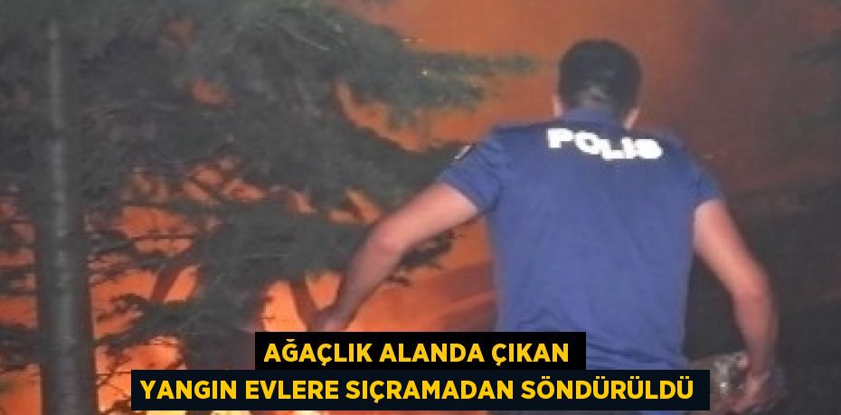 AĞAÇLIK ALANDA ÇIKAN YANGIN EVLERE SIÇRAMADAN SÖNDÜRÜLDÜ