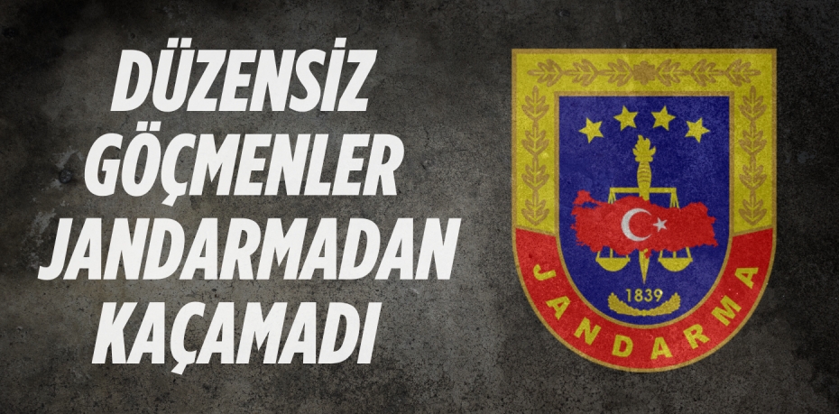 DÜZENSİZ GÖÇMENLER JANDARMADAN KAÇAMADI