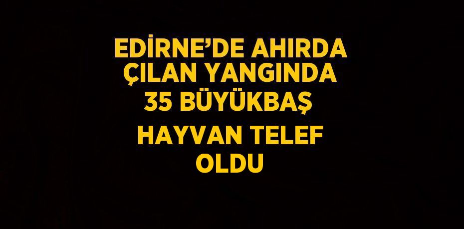 EDİRNE’DE AHIRDA ÇILAN YANGINDA 35 BÜYÜKBAŞ HAYVAN TELEF OLDU