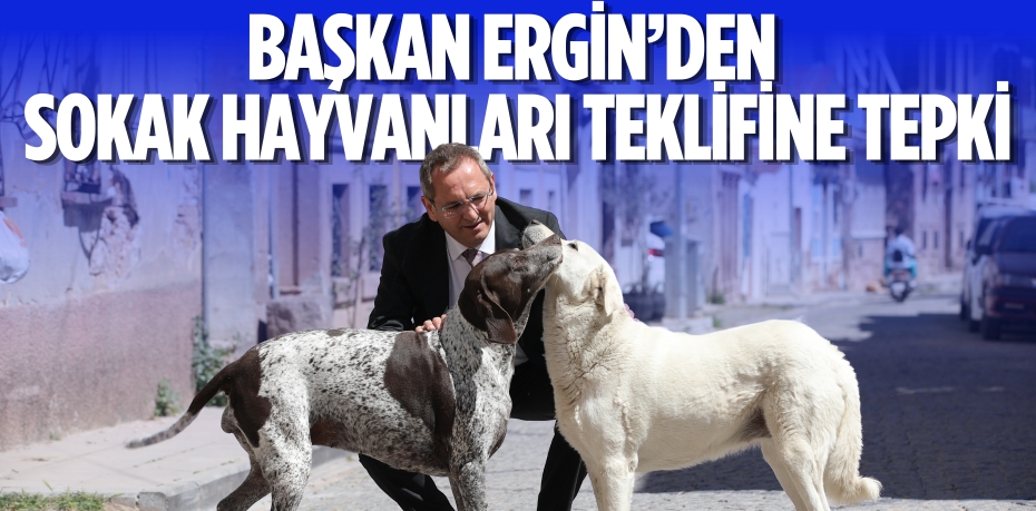 BAŞKAN ERGİN’DEN SOKAK  HAYVANLARI TEKLİFİNE TEPKİ