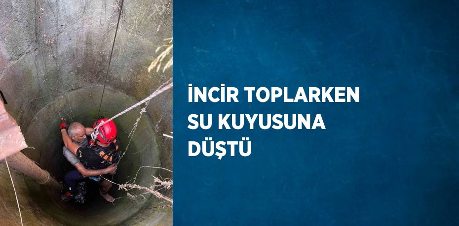 İNCİR TOPLARKEN SU KUYUSUNA DÜŞTÜ