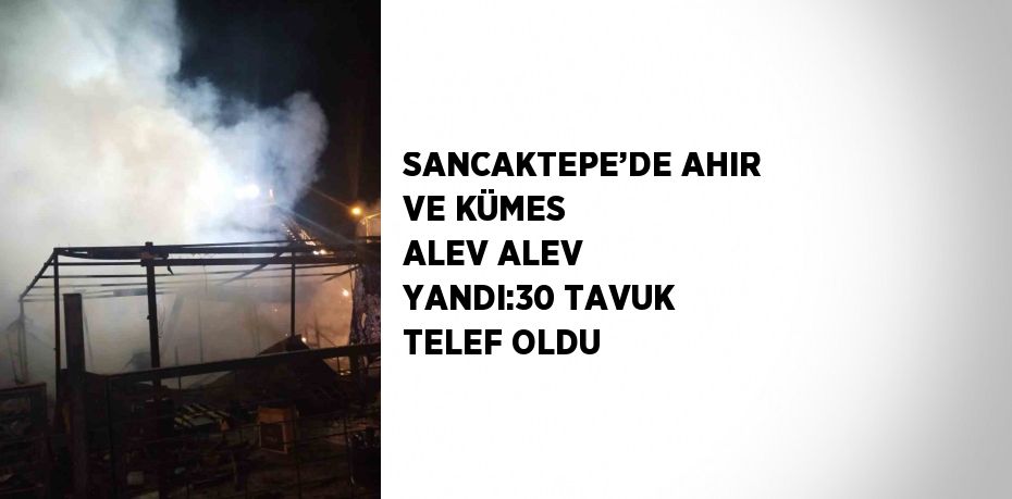 SANCAKTEPE’DE AHIR VE KÜMES ALEV ALEV YANDI:30 TAVUK TELEF OLDU