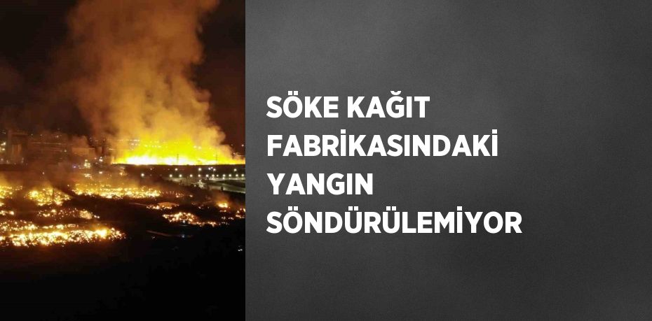 SÖKE KAĞIT FABRİKASINDAKİ YANGIN SÖNDÜRÜLEMİYOR