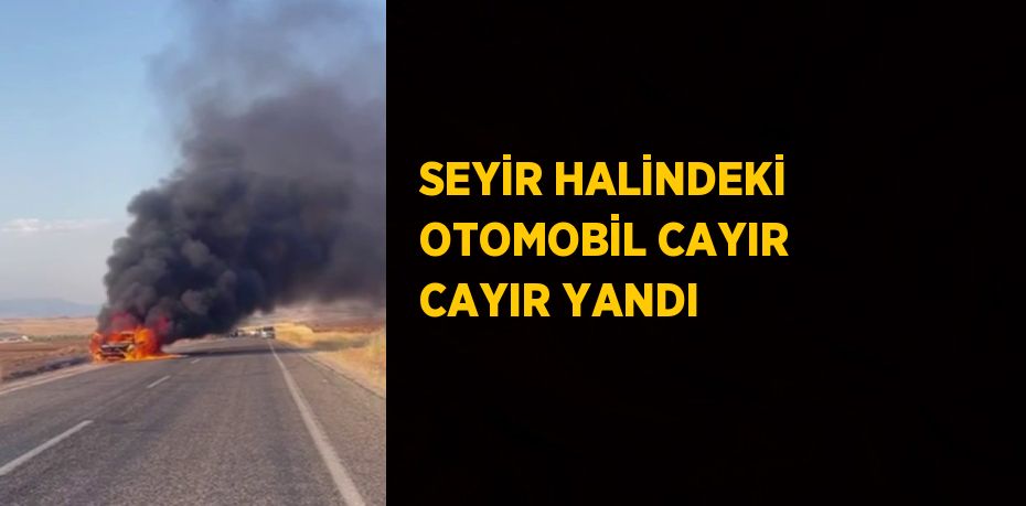 SEYİR HALİNDEKİ OTOMOBİL CAYIR CAYIR YANDI