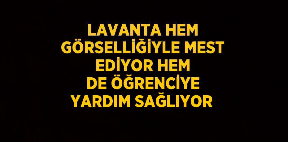 LAVANTA HEM GÖRSELLİĞİYLE MEST EDİYOR HEM DE ÖĞRENCİYE YARDIM SAĞLIYOR