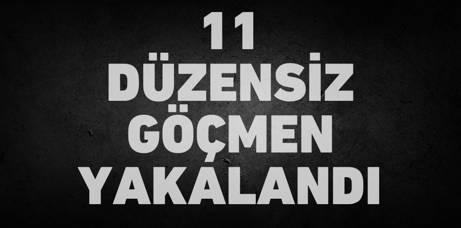 11 düzensiz göçmen yakalandı