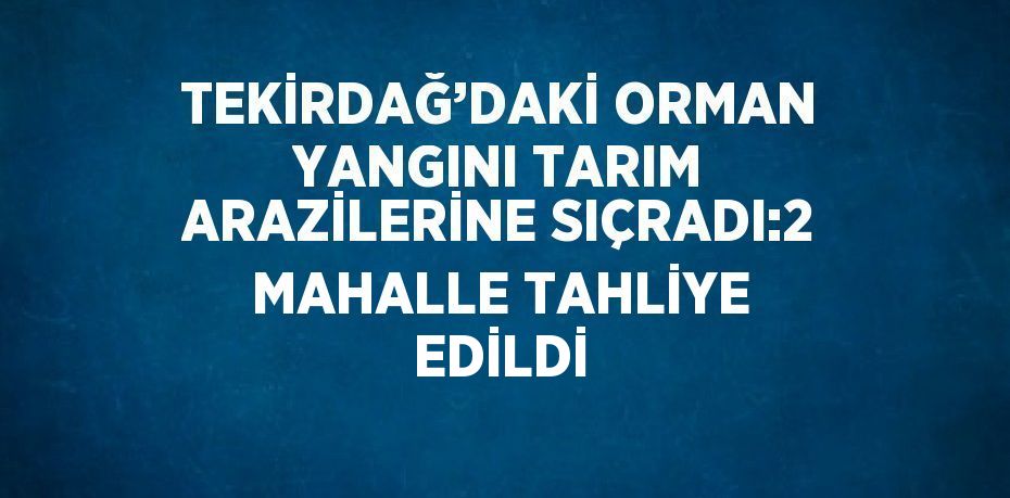 TEKİRDAĞ’DAKİ ORMAN YANGINI TARIM ARAZİLERİNE SIÇRADI:2 MAHALLE TAHLİYE EDİLDİ