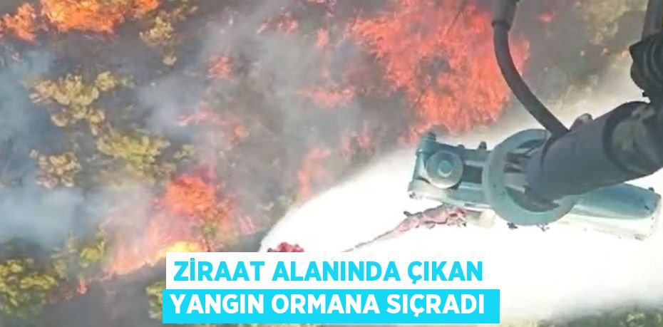 ZİRAAT ALANINDA ÇIKAN YANGIN ORMANA SIÇRADI