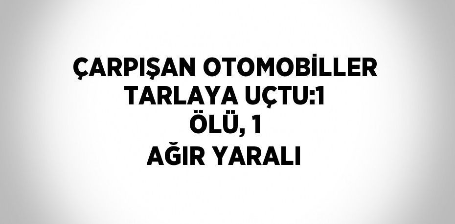 ÇARPIŞAN OTOMOBİLLER TARLAYA UÇTU:1 ÖLÜ, 1 AĞIR YARALI