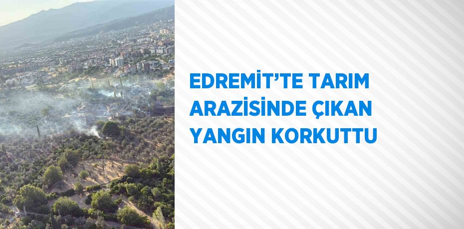 EDREMİT’TE TARIM ARAZİSİNDE ÇIKAN YANGIN KORKUTTU