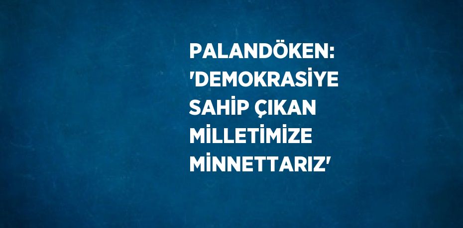 PALANDÖKEN: 'DEMOKRASİYE SAHİP ÇIKAN MİLLETİMİZE MİNNETTARIZ'