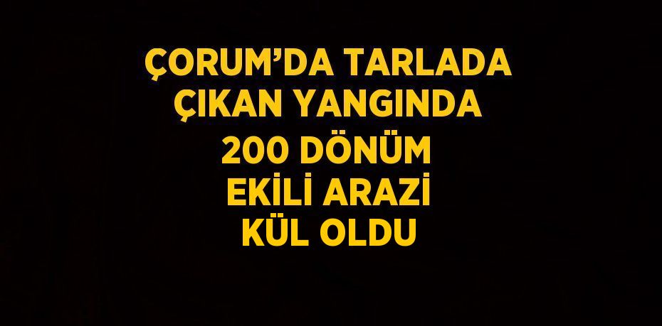 ÇORUM’DA TARLADA ÇIKAN YANGINDA 200 DÖNÜM EKİLİ ARAZİ KÜL OLDU